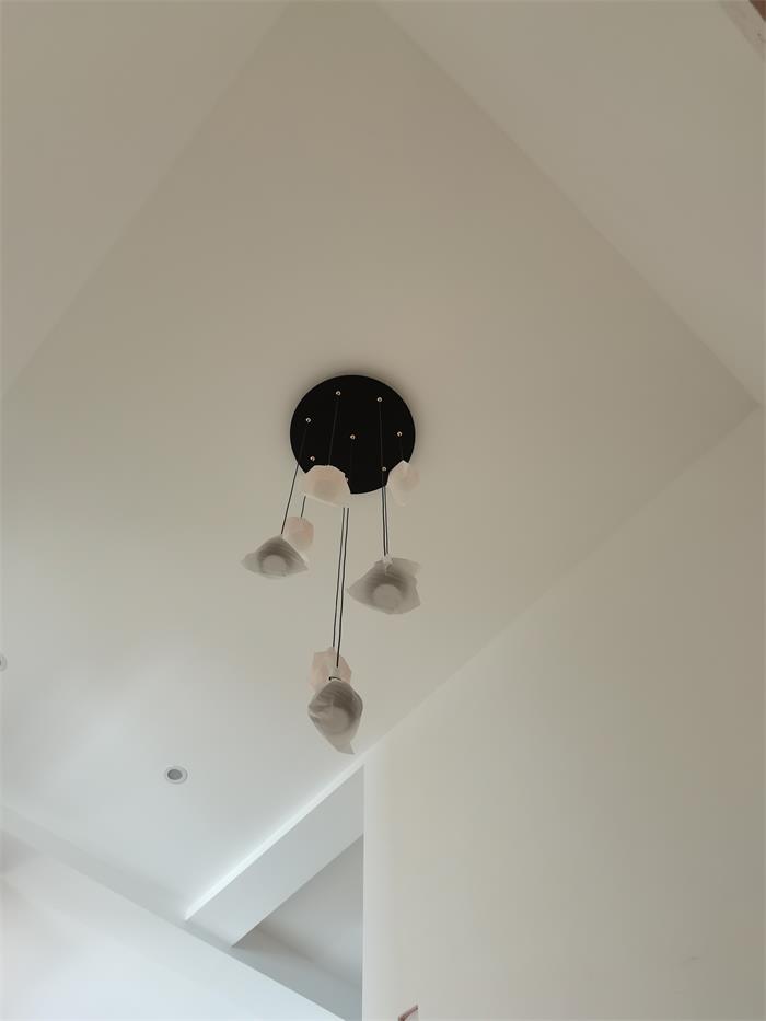 741c2fc030bd41bf9aa8e909010d48d.jpg