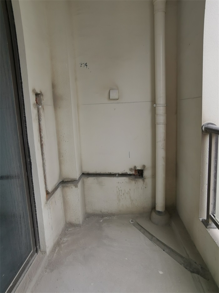 IMG_20211102_094911.jpg