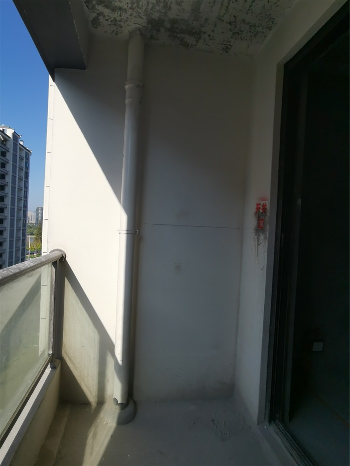 IMG_20211109_085126.jpg