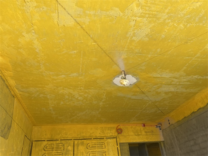 IMG_7101.JPG