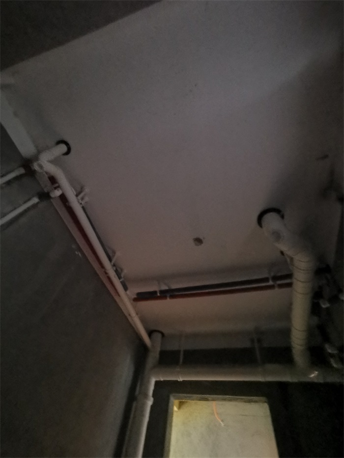 IMG_20211103_142324.jpg