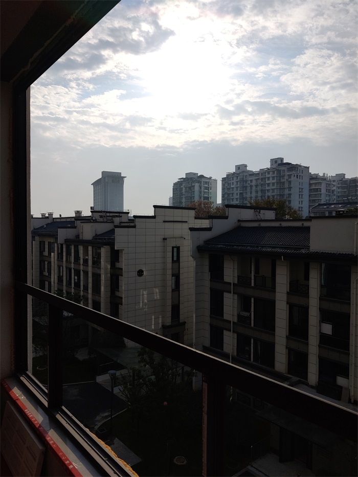 IMG_20211116_083732.jpg