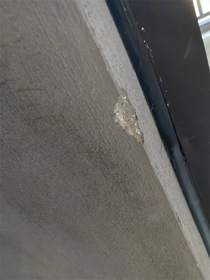 d08308fa6e3e00eea5ae01166cb98c8.jpg