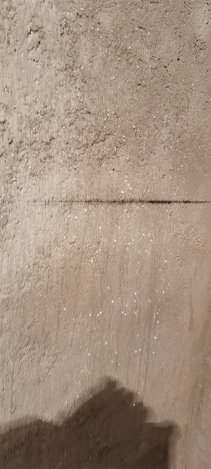 ΢��ͼƬ_202110290901269.jpg