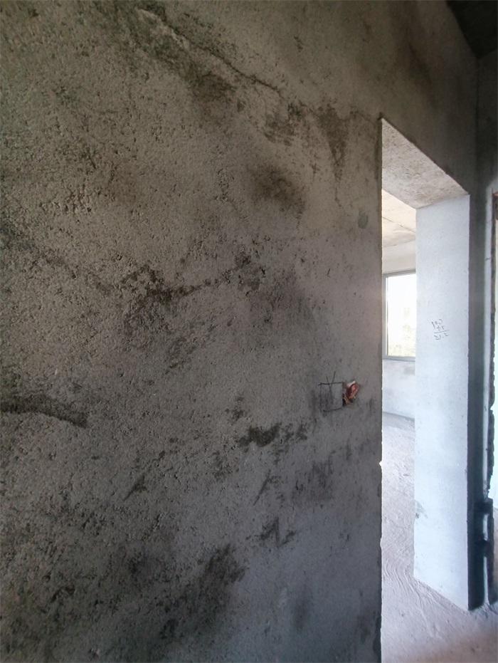 IMG_20211109_141216.jpg