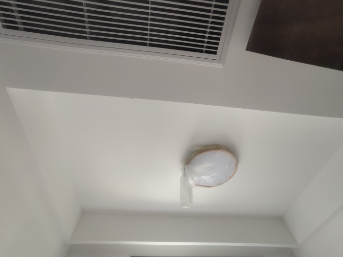 IMG_20210809_160717.jpg