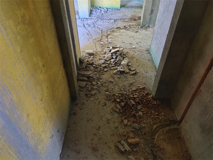 IMG_20210824_111321.jpg