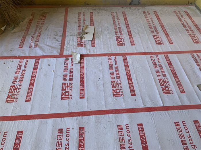 IMG_5563.JPG