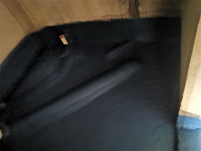 IMG_20211119_114001.jpg