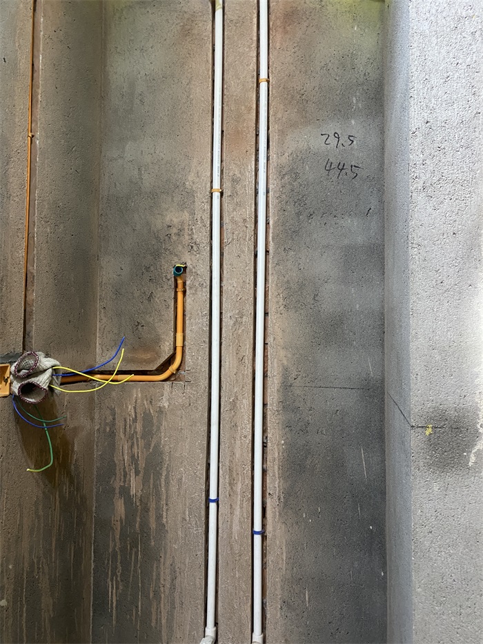 IMG_8461.JPG