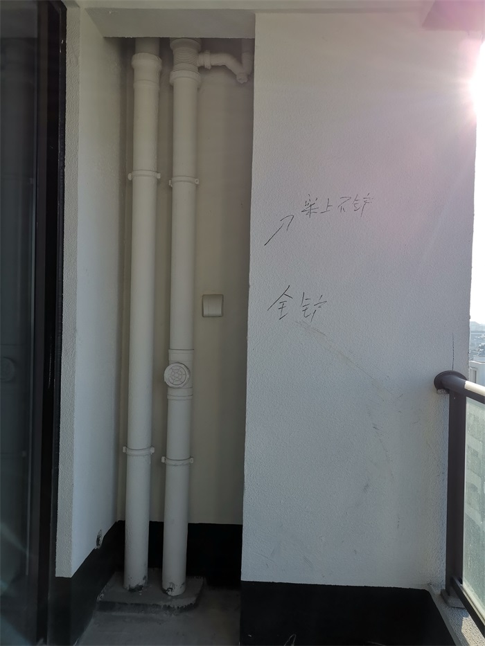 IMG_20211220_090448.jpg
