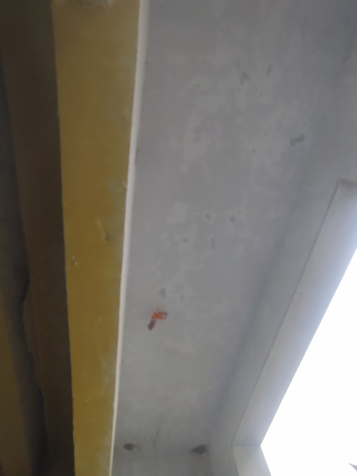 IMG_20210816_075313.jpg