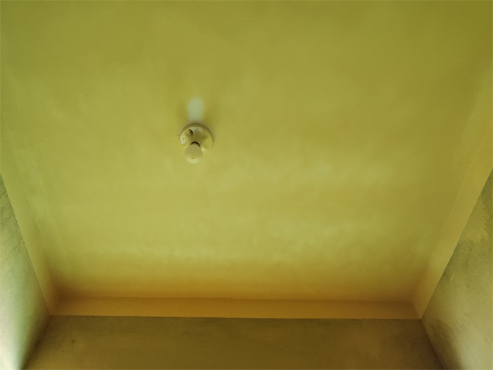 IMG_20220106_112123.jpg