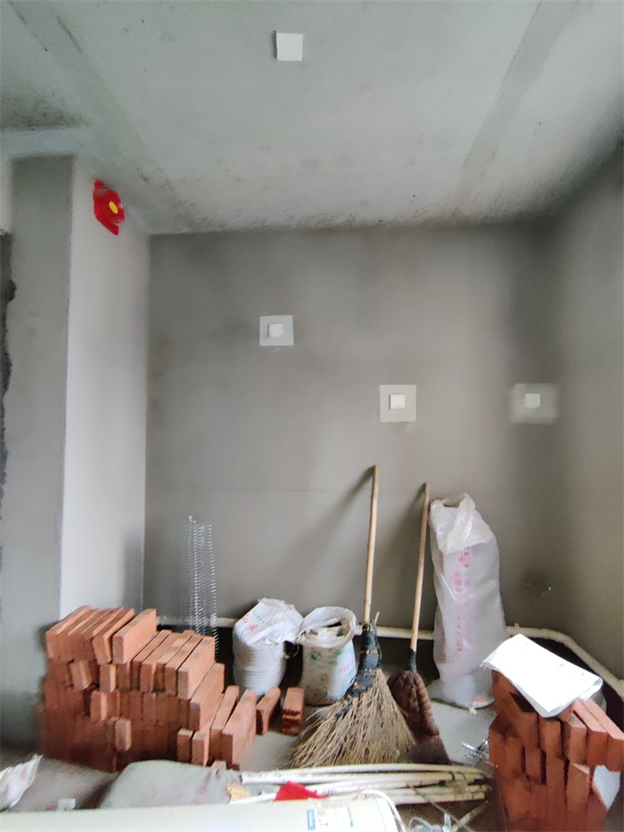 IMG_20220106_112312.jpg