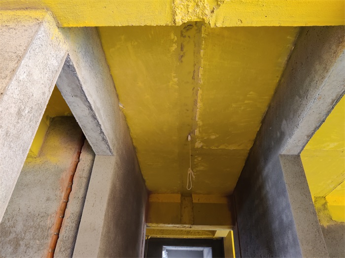 IMG_20220112_084057.jpg