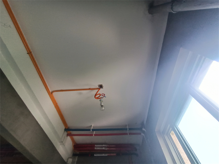 IMG_20220121_102620.jpg