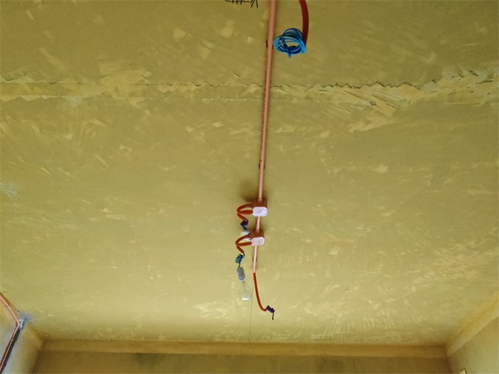 IMG_20220210_171423.jpg