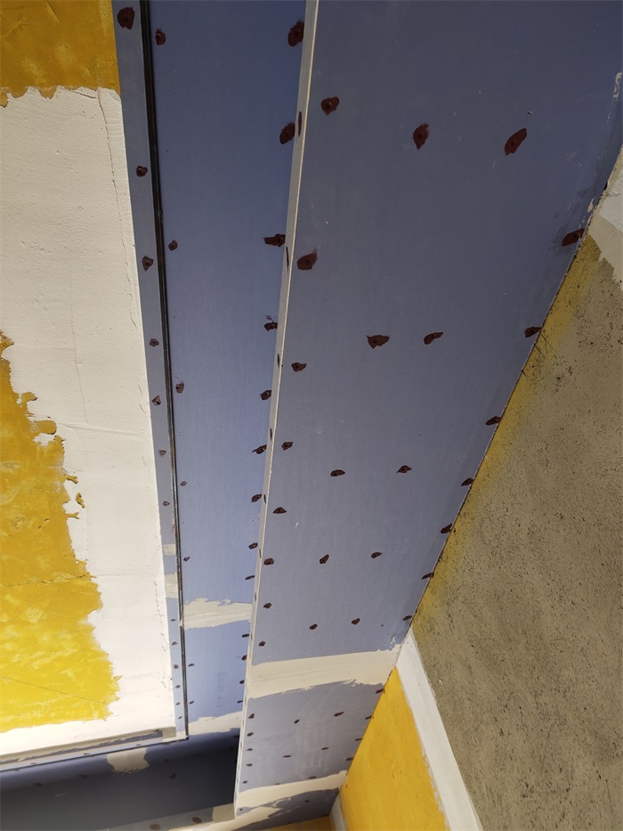 IMG_20210924_105053.jpg