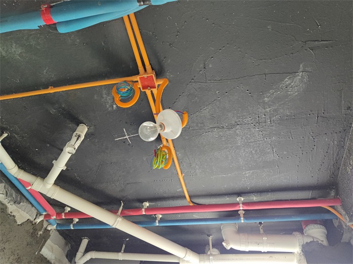IMG_20220220_110633.jpg
