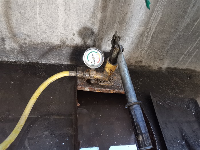 IMG_20220224_155611.jpg