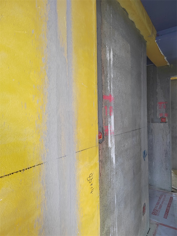 IMG_20220304_100646.jpg