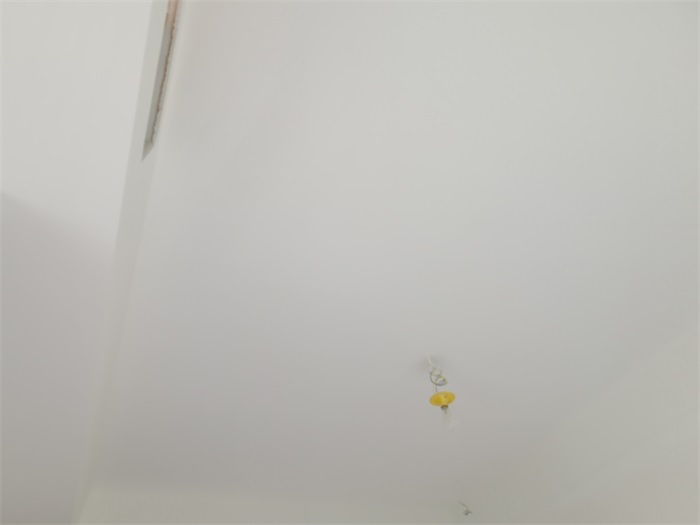 IMG_20220311_101105.jpg