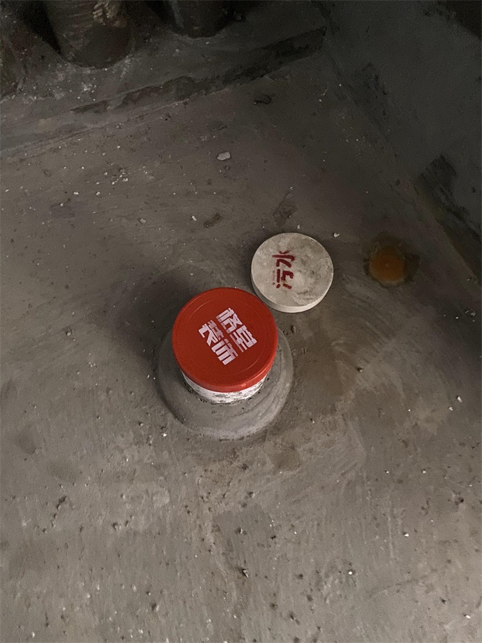 2022_03_13_09_37_IMG_9736.JPG