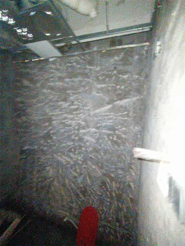 IMG_20220302_102255.jpg