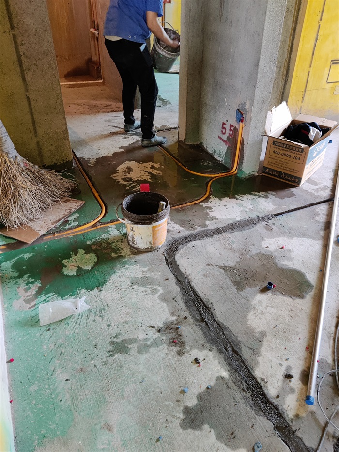 IMG_20220414_102018.jpg
