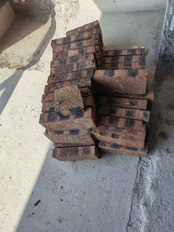 IMG_20220412_091247.jpg