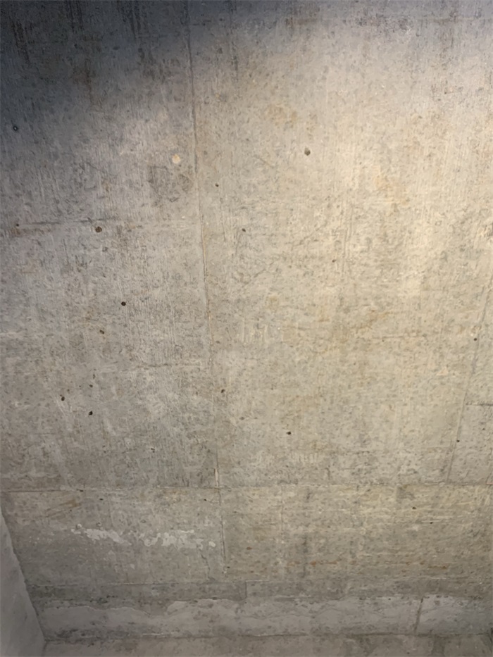 IMG_1798.JPEG
