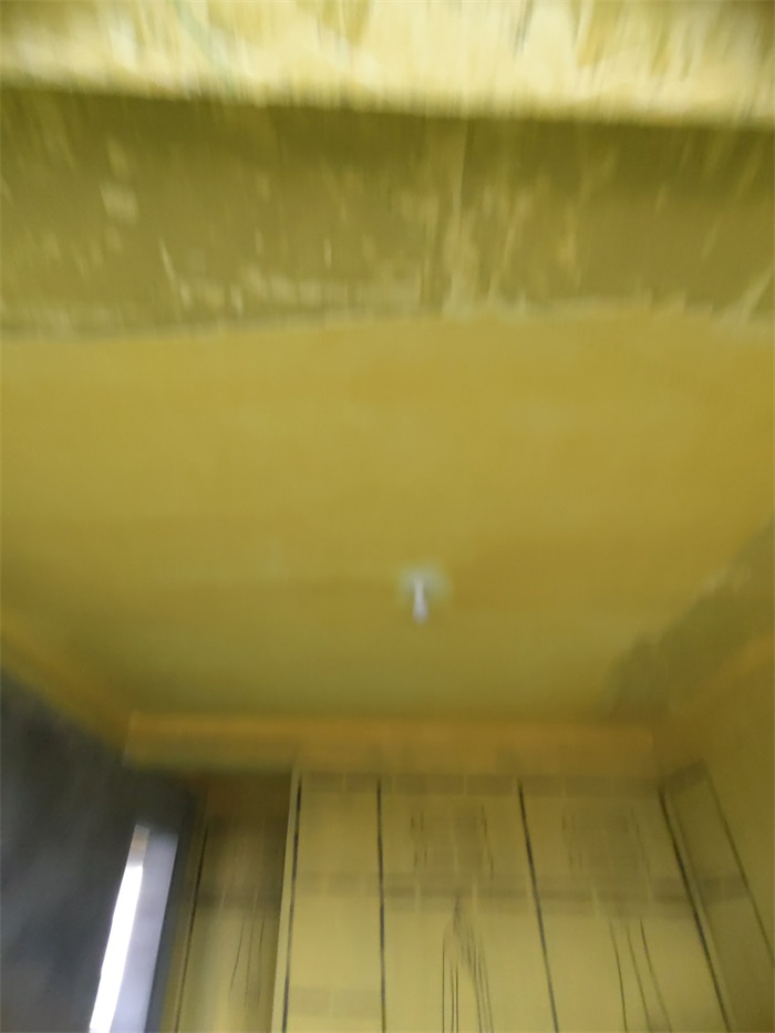 IMG_20220419_084627.jpg