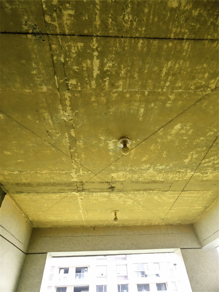 IMG_20220419_084930.jpg