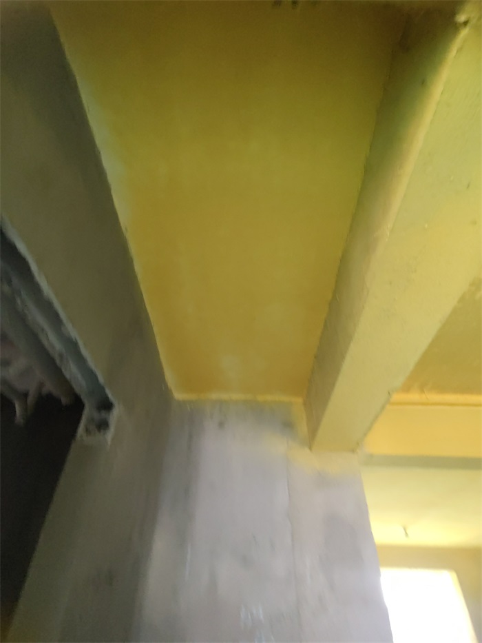 IMG_20220419_101551.jpg