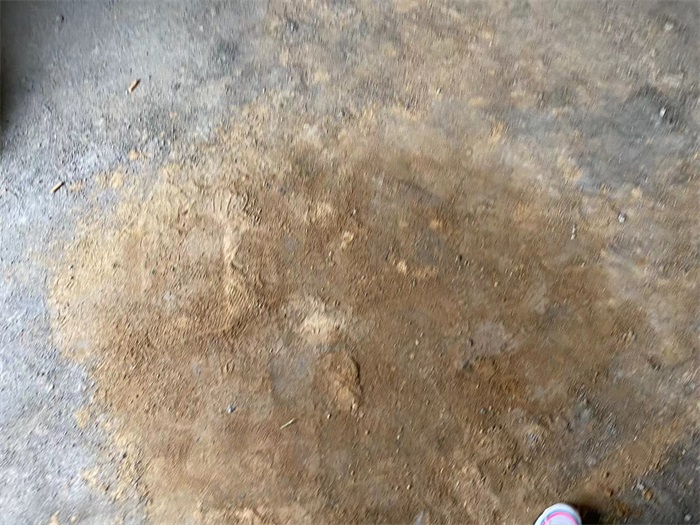 bd0f65ff47fff11a92881b1f3cf3ce3.jpg