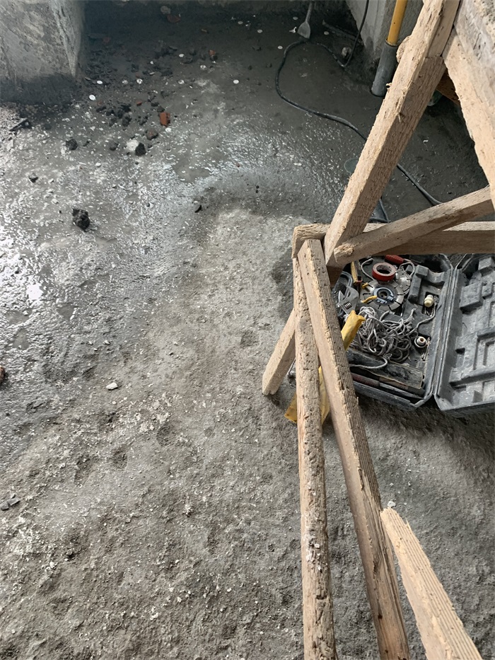 IMG_2633.JPG