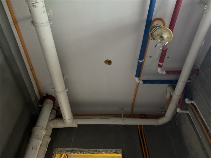 IMG_3244.JPG