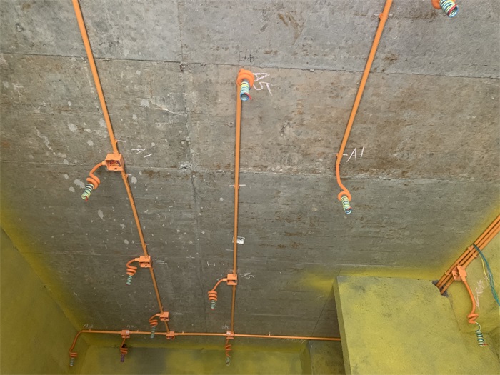 IMG_8847.JPG
