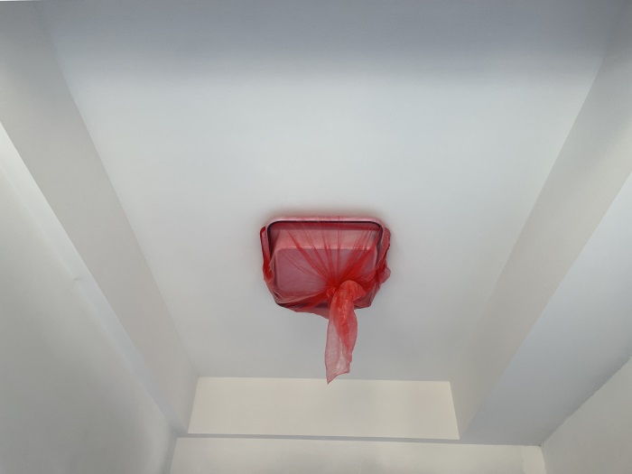 2021_11_14_11_44_IMG_2722.JPG