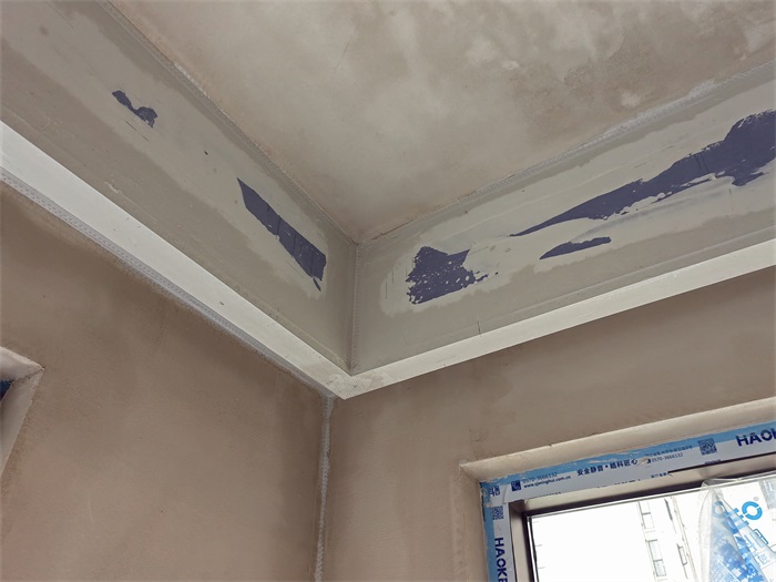 IMG_20220510_110528.jpg