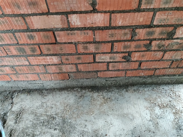 IMG_20220520_090403.jpg