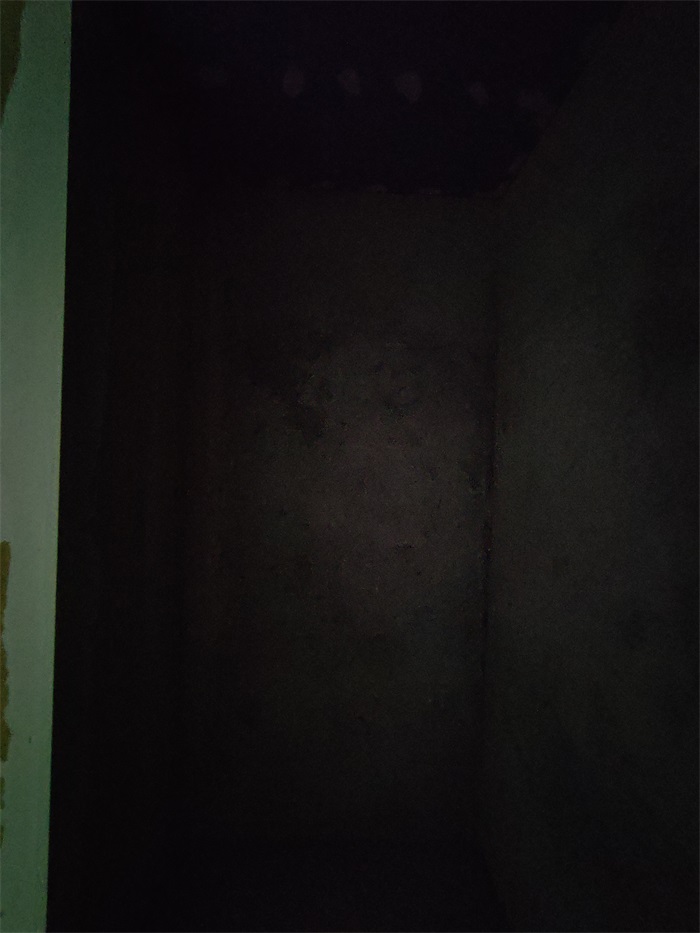 IMG_20220519_122335.jpg