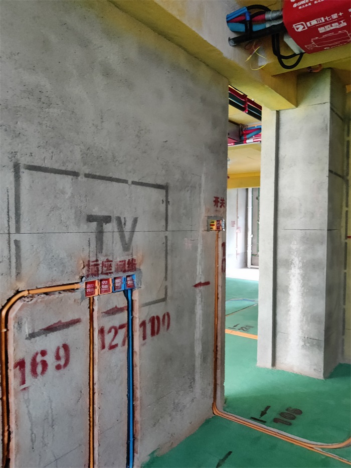 IMG_20220524_082243.jpg