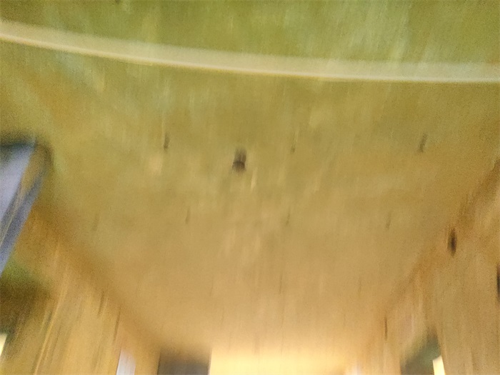 IMG_20220529_130558.jpg