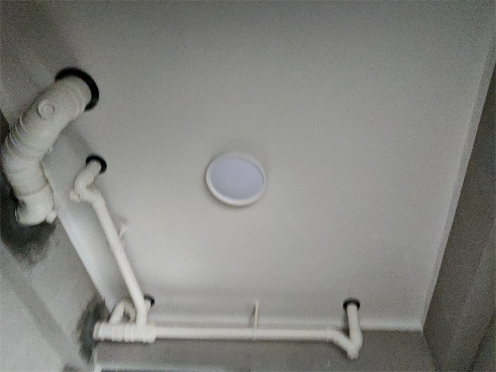 IMG_20220529_084114.jpg
