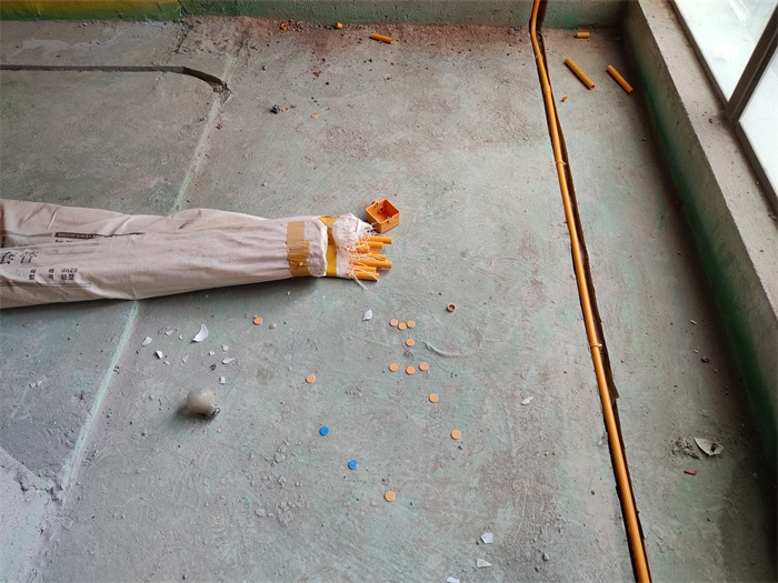 IMG_20220604_130525.jpg