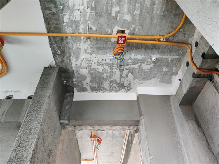 IMG_20220602_083354.jpg