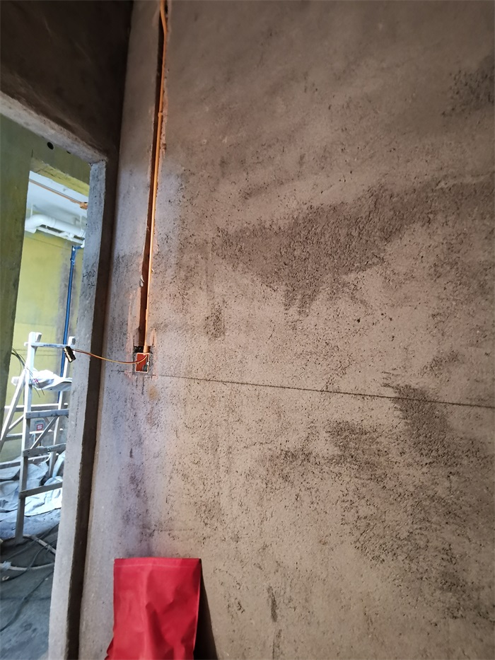 IMG_20220606_150917.jpg