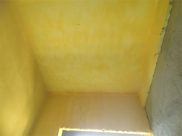 IMG_20220609_101913.jpg