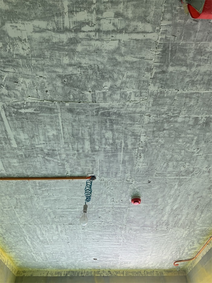 IMG_6196.JPEG